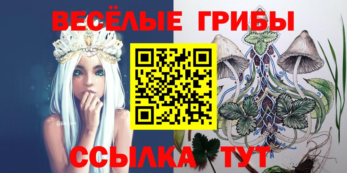 Псилоцибиновые грибы MAGIC MUSHROOMS  Галлюциногенные грибы Psilocybine cubensis  Губаха  Вход с VPN 