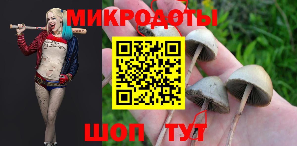 Галлюциногенные грибы GOLDEN TEACHER Губаха